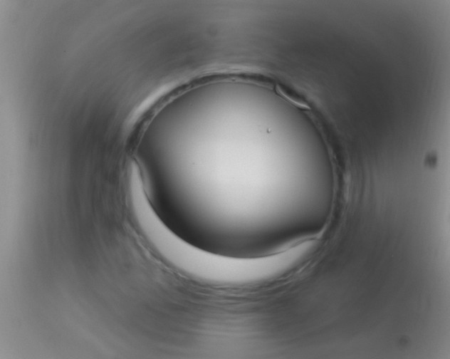 X0000113961165200910161956