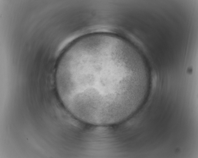 X0000113961166200910161956