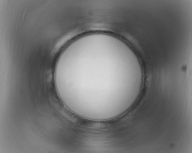 X0000113961167200910161956