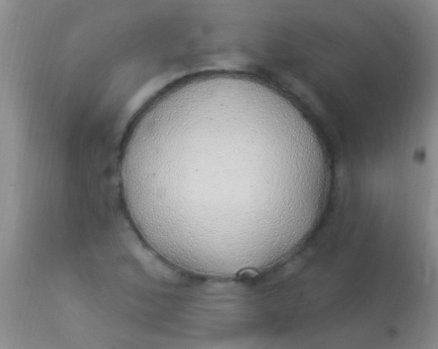 X0000113961168200910161956