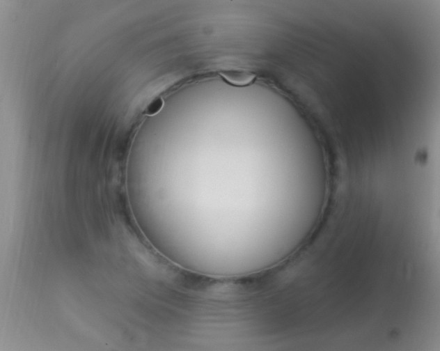 X0000113961169200910161956