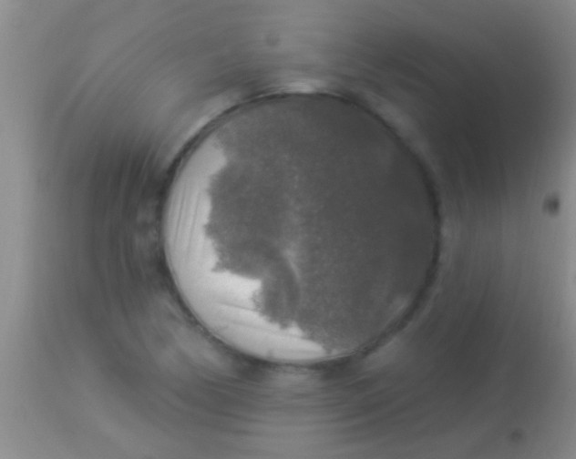 X0000113961170200910161956