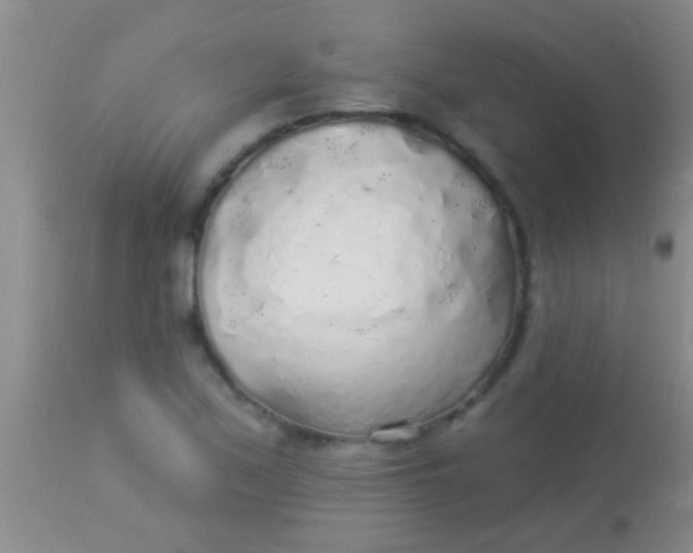 X0000113961171200910161956