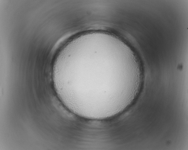 X0000113961172200910161956