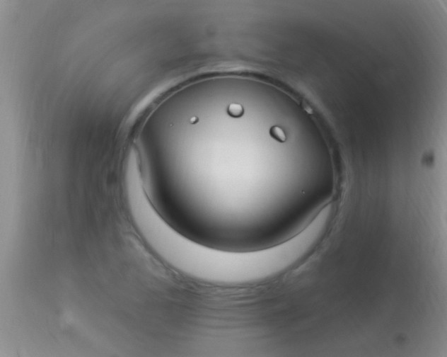 X0000113961173200910161956