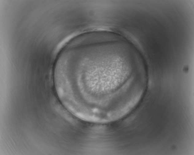 X0000113961174200910161956