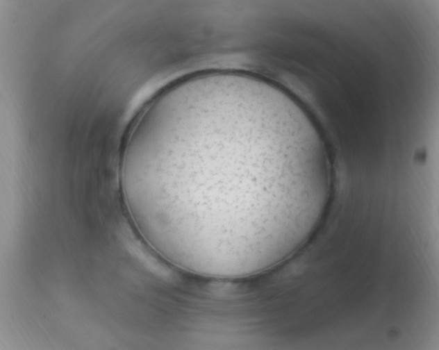 X0000113961176200910161956