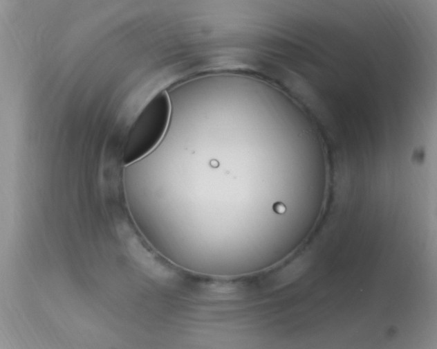 X0000113961177200910161956