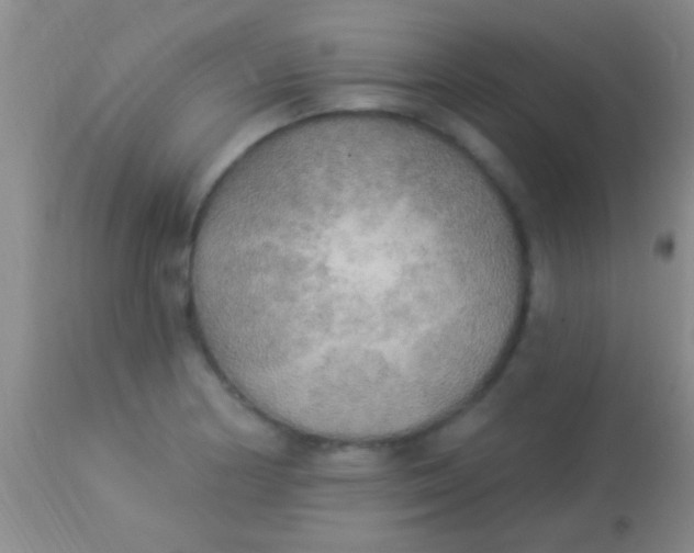 X0000113961178200910161956