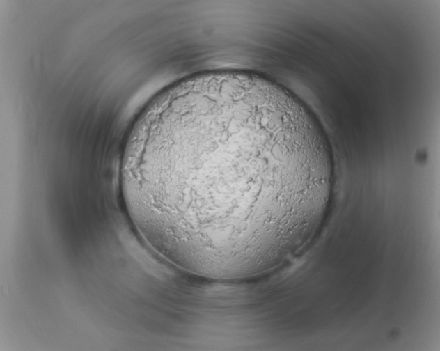 X0000113961179200910161956