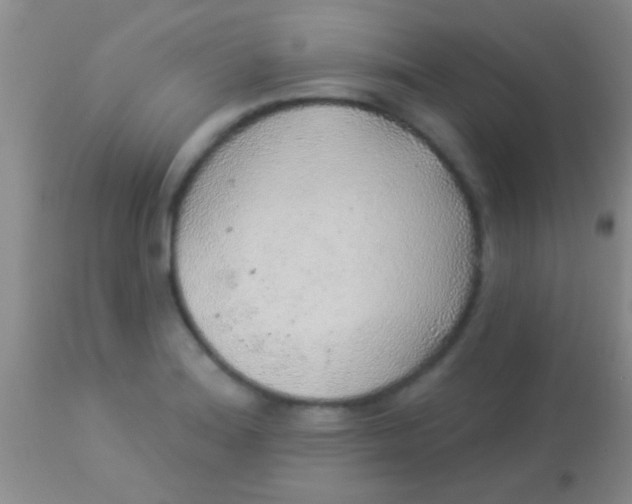 X0000113961180200910161956