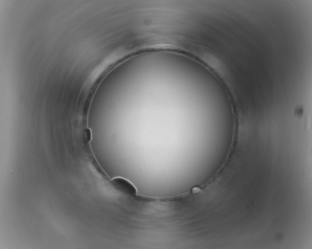 X0000113961181200910161956