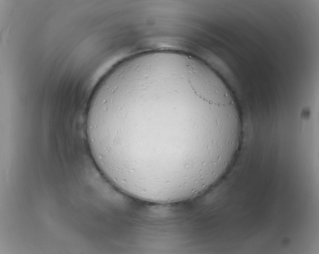 X0000113961182200910161956