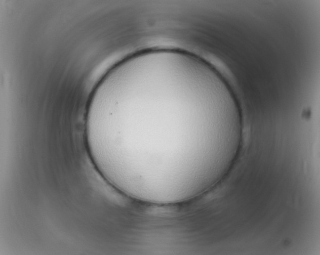 X0000113961183200910161956