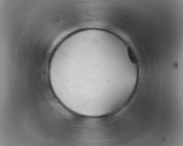 X0000113961184200910161956