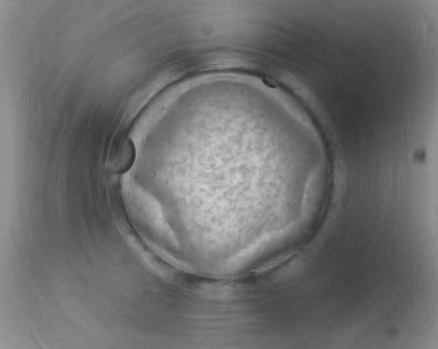 X0000113961185200910161956