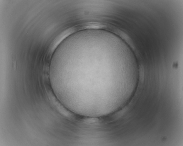 X0000113961186200910161956