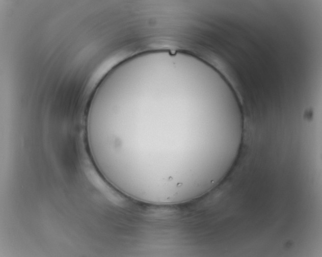 X0000113961187200910161956