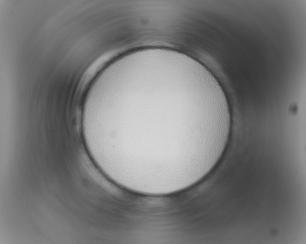 X0000113961188200910161956