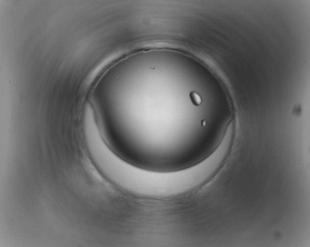 X0000113961189200910161956