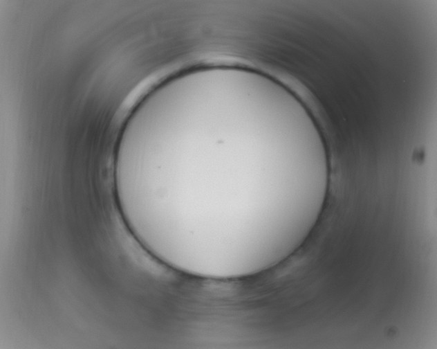 X0000113961191200910161956