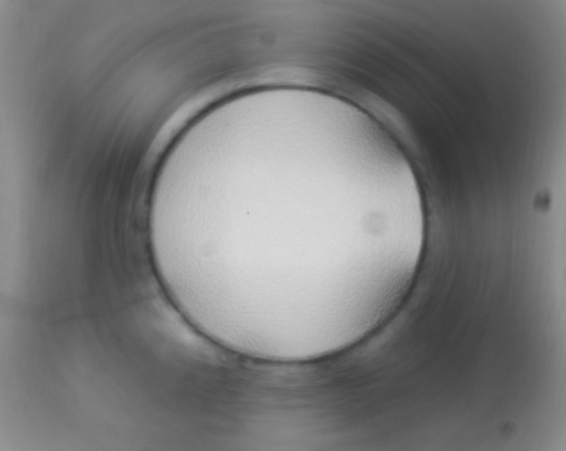 X0000113961192200910161956