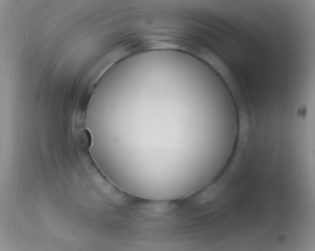 X0000113961193200910161956