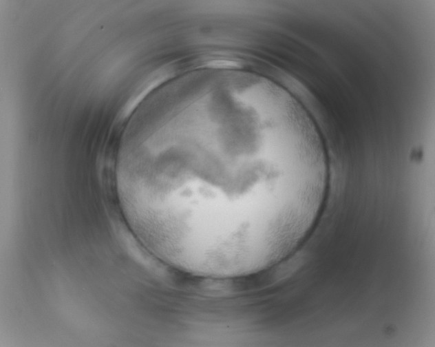 X0000113961194200910161956