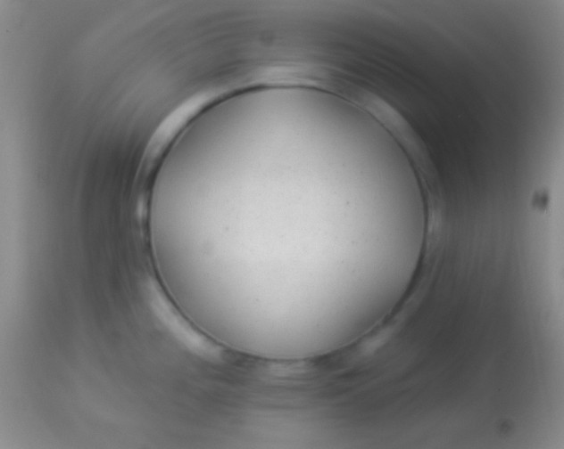 X0000113961196200910161956