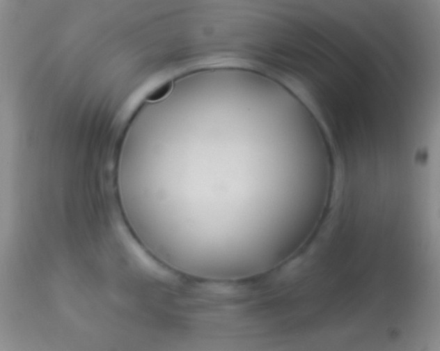 X0000113961197200910161956