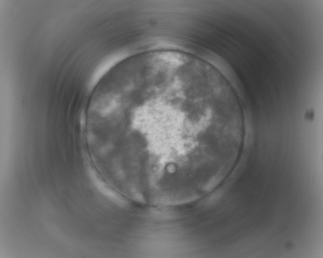 X0000113961198200910161956