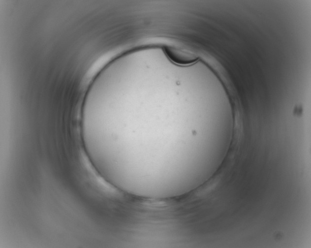 X0000113961199200910161956