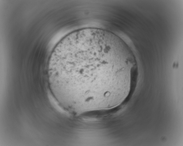 X0000113961200200910161956