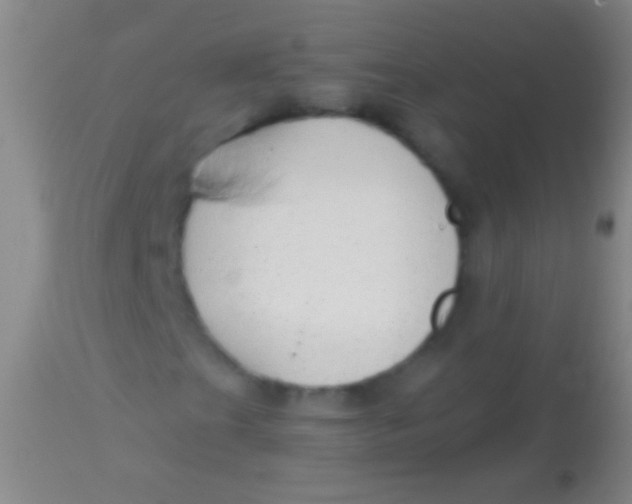 X0000113961201200910161955