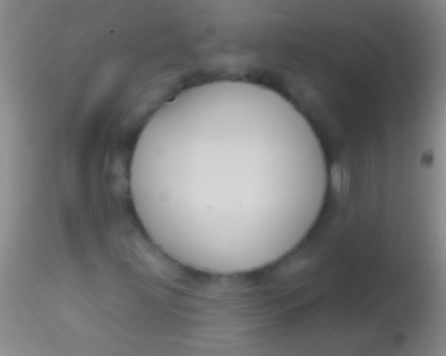 X0000113961203200910161955