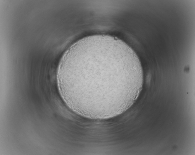 X0000113961204200910161955