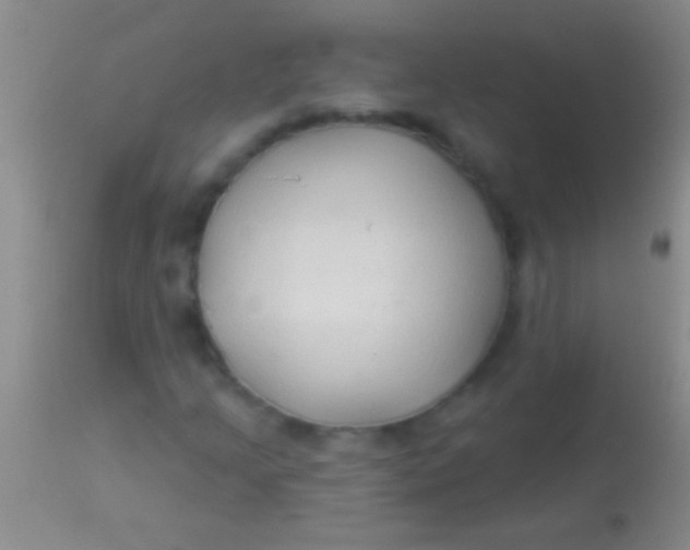 X0000113961205200910161955