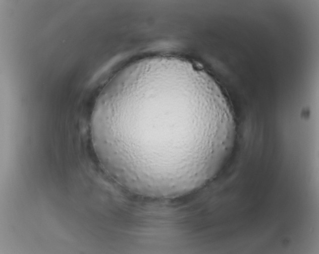 X0000113961206200910161955