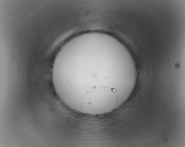 X0000113961207200910161955