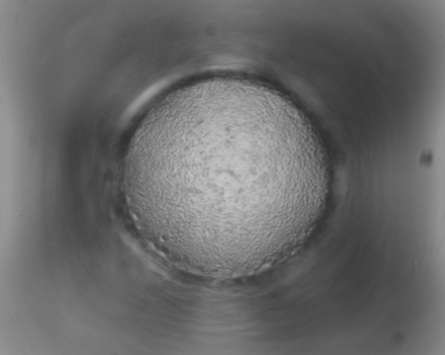 X0000113961208200910161955