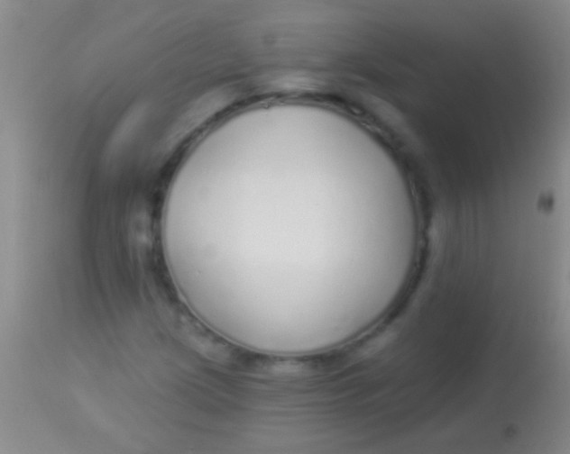 X0000113961209200910161955