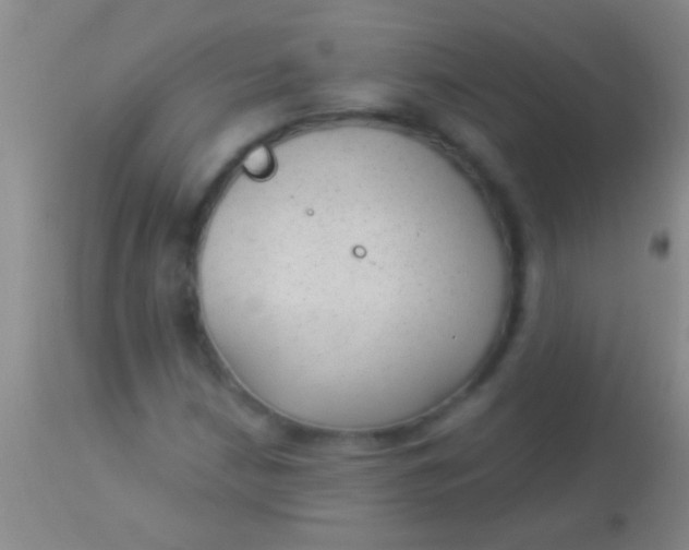 X0000113961210200910161955