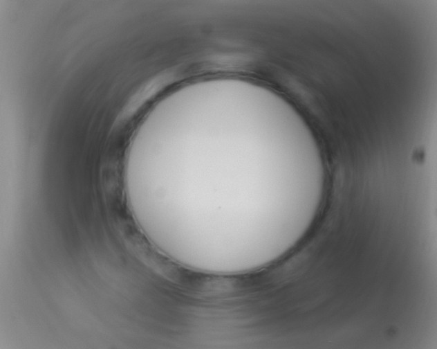 X0000113961211200910161955