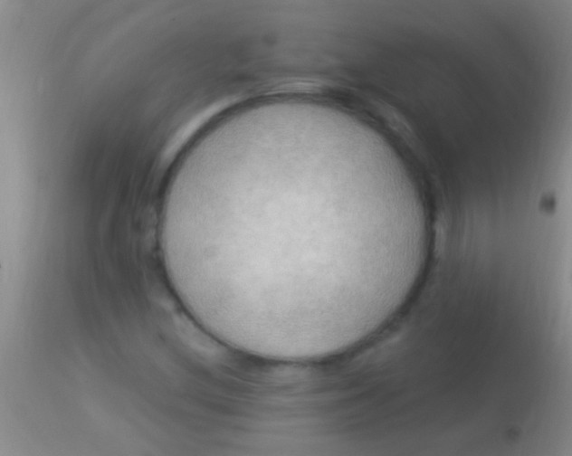 X0000113961212200910161955