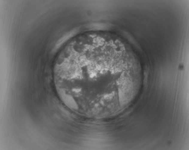 X0000113961213200910161955