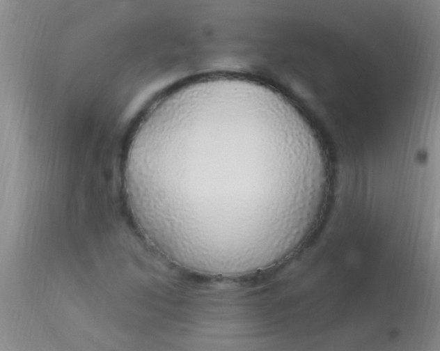 X0000113961214200910161955