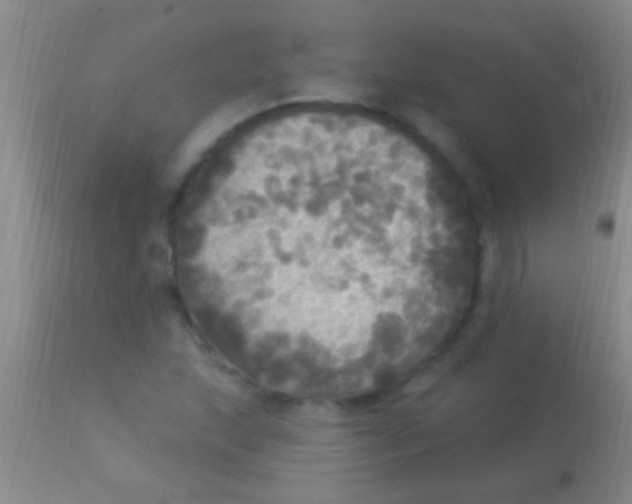 X0000113961215200910161955