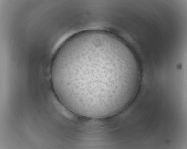 X0000113961216200910161955