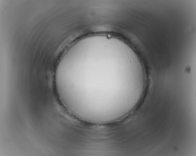 X0000113961217200910161955