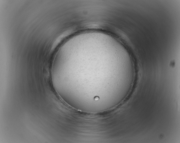 X0000113961218200910161955